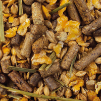 Essential Horse Mischungen Einsteigerpakete